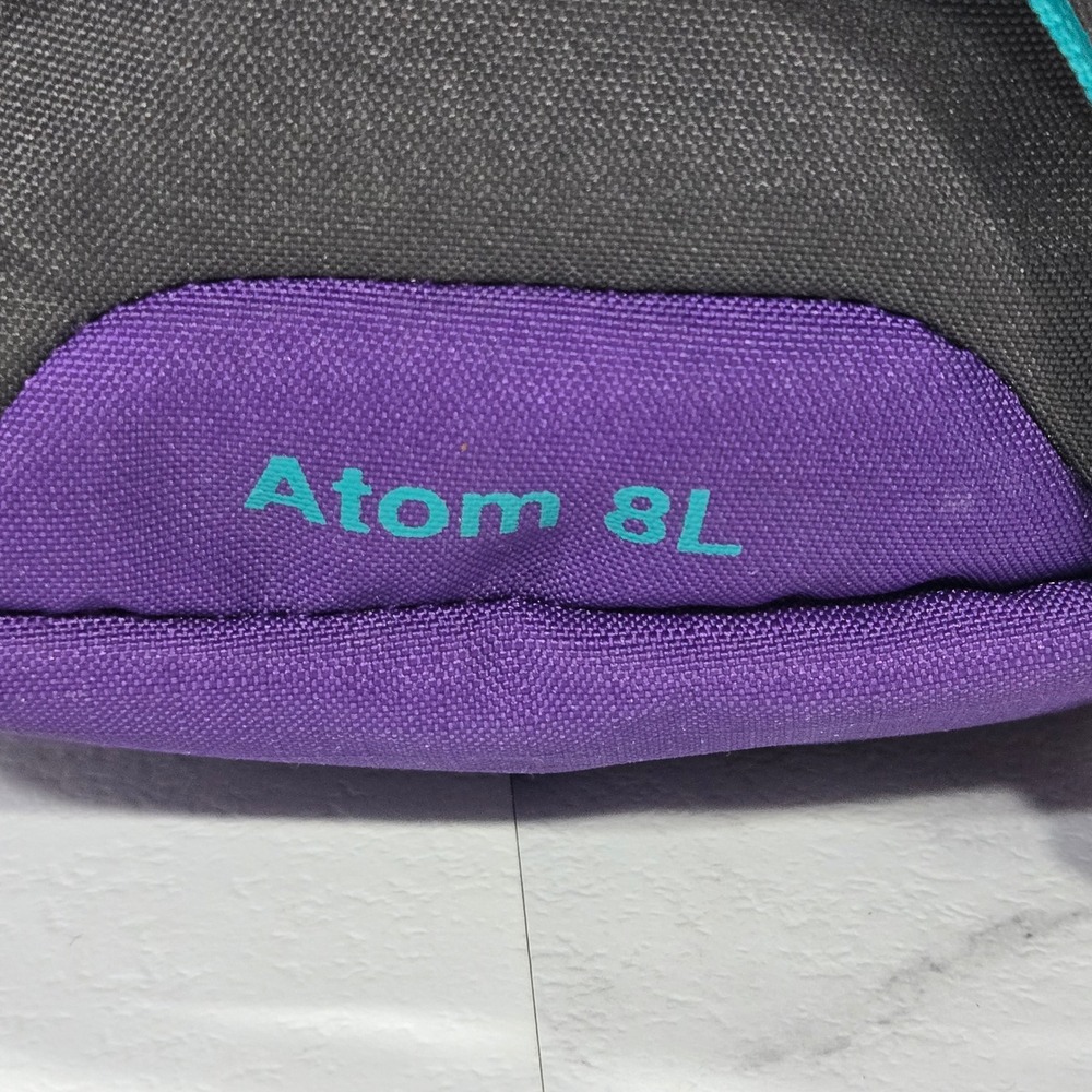 Patagonia Atom 8L Sling Bag Unisex Inside Out Purple … - Gem
